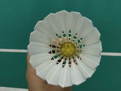 -先锋羽毛球馆