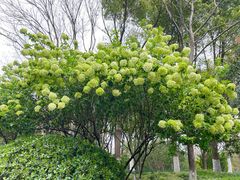 -杭州城北体育公园