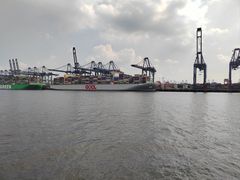 -新金盛·海鲜酒楼(盐田店)