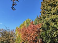 -元大都城垣遗址公园