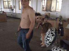 -盛兴面馆(真儒大厦店)