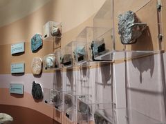 -陕西自然博物馆