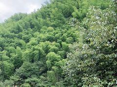 -将军关探险漂流