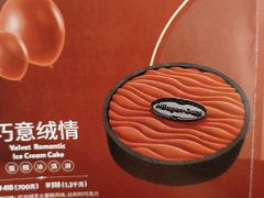 -哈根达斯(上海金山店)