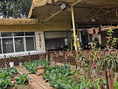 -苏记溪河鲢鱼庄(天府新区店)