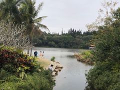 -深圳仙湖植物园