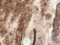-鬼笑石后山停车场