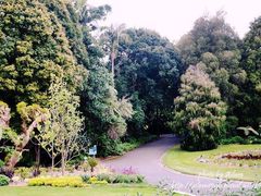 -墨尔本皇家植物园