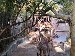 -长鹿旅游休博园