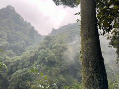 -青城山