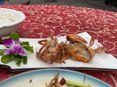 干煎膏蟹-友强·22年特色海鲜大排档·闽菜(湖里店)