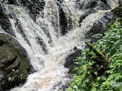-莫里热带雨林景区