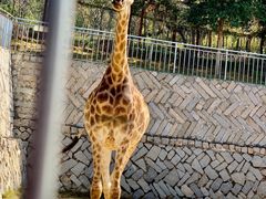 -泉州海丝野生动物世界