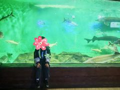 -太平洋海底世界