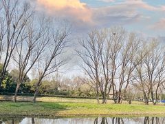 -西溪国家湿地公园