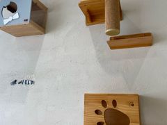 -藏猫猫咖啡主题馆(中央大道店)