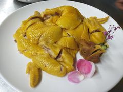 -食德喜·阳山鸡王食研基地