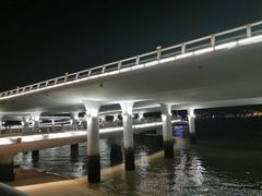 -演武大桥观景平台