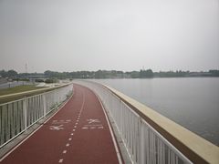 -嘉定凯悦·咖啡厅