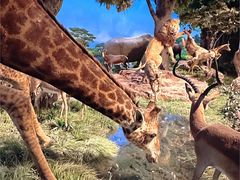 -国家自然博物馆