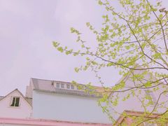 -四川省成都市彭州市白鹿镇