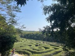 -大屏嶂森林公园