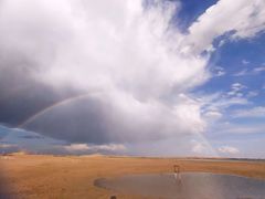 -亿利库布其七星湖沙漠生态旅游区