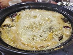 野生菌-江川野生菌火锅铜锅鱼(贵清火锅店)