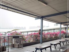 -厦门邮轮中心厦鼓码头(轮渡站)
