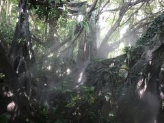 -青青世界