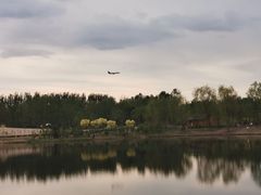 -东郊湿地公园