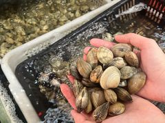 -坛南湾阿强农家乐.海鲜大排档老字号(福州地标美食店)