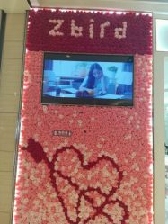 -钻石小鸟钻戒婚戒定制(石路店)
