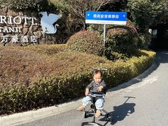 -浙江安吉JW万豪酒店·万豪中餐厅