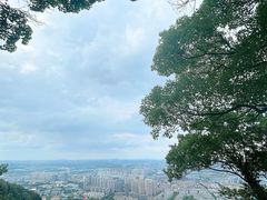 -惠山国家森林公园