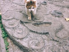 -西安化觉巷清真大寺