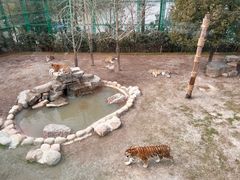 -上海野生动物园