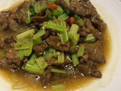 -石头咕(葵蓬店)