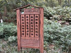 -杭州半山国家森林公园