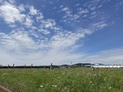 -御道口草原森林风景区