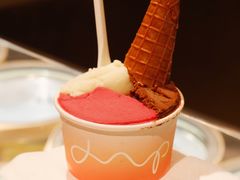 -Dip in Gelato(富民路店)