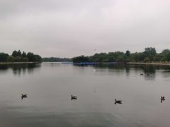-海德公园