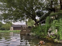 -杭州西子湖四季酒店·金沙厅