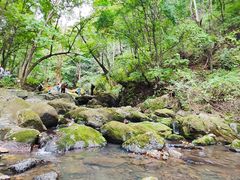 -香炉山国家森林公园