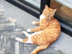 -CHURCH  BISTRO 教堂·餐吧