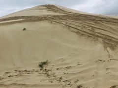 -库伦旗银沙湾旅游景区