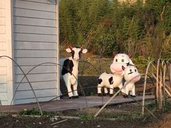 -菊园百果园