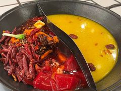 -朱光玉火锅馆(正弘城店)