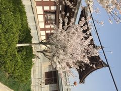iphone_upload_pic-西安青龙寺遗址景区