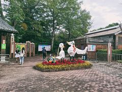 -大湾区中央湿地公园